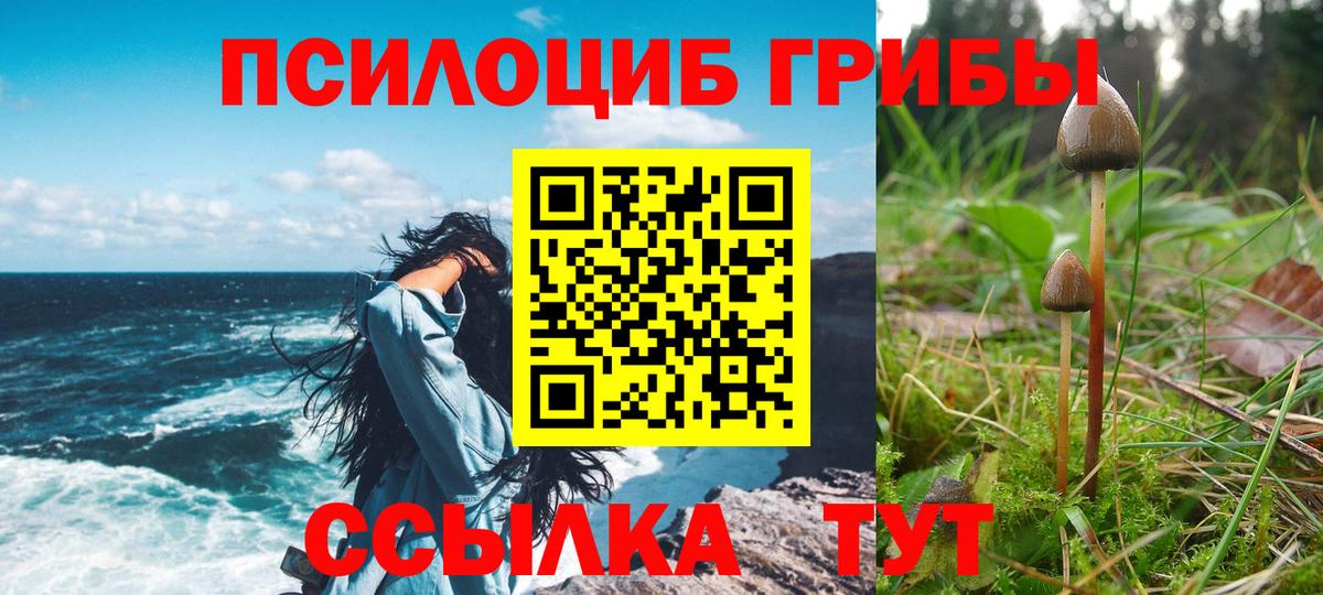 Псилоцибиновые грибы прущие грибы Каменка