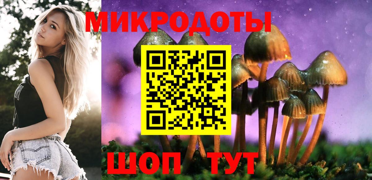 Каменка  Галлюциногенные грибы GOLDEN TEACHER  Вход с VPN 